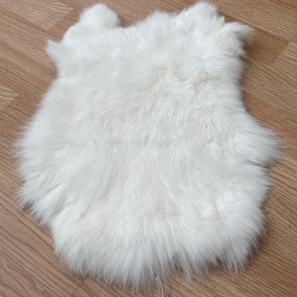 #A26 rabbit pelt